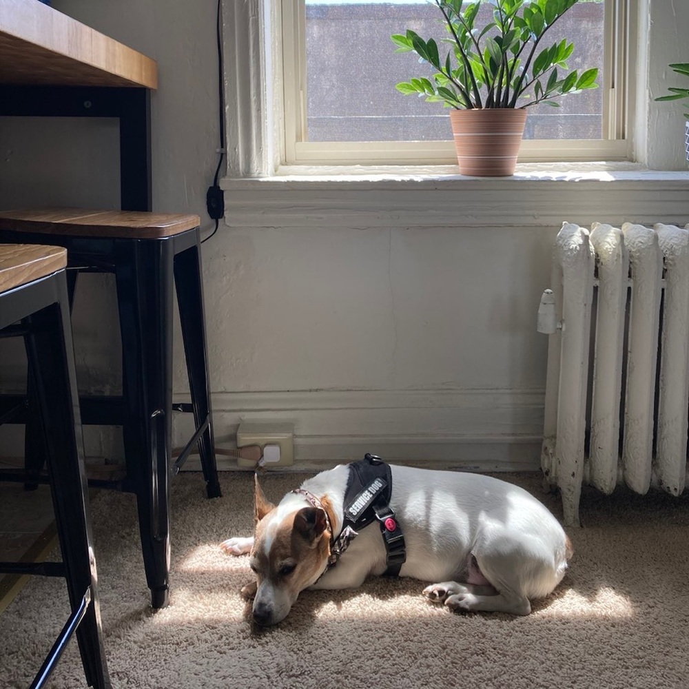 Meet your Posher, Miel